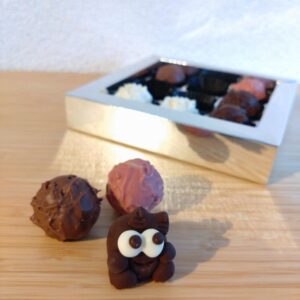 Truffes 9 Stück mit Pummelchen
